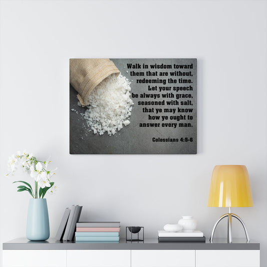 Scripture Walls Walk in Wisdom Colossians 4:5-6 Bible Verse Canvas Christian Wall Art Ready to Hang Unframed-Express Your Love Gifts