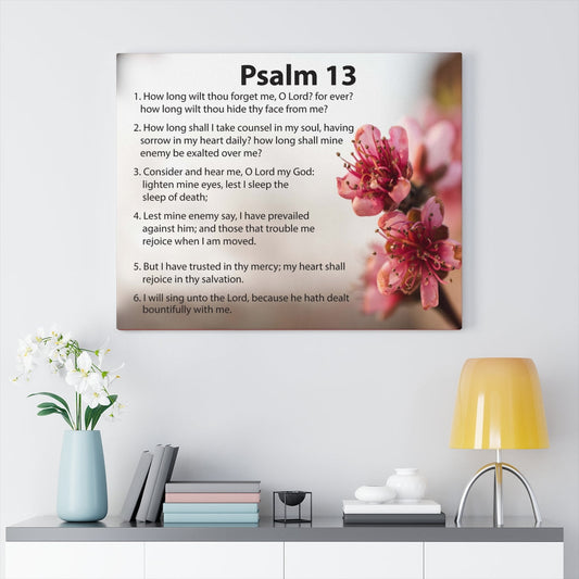 Scripture Walls When God Seems Silent Psalm 13 Bible Verse Canvas Christian Wall Art Ready to Hang Unframed-Express Your Love Gifts