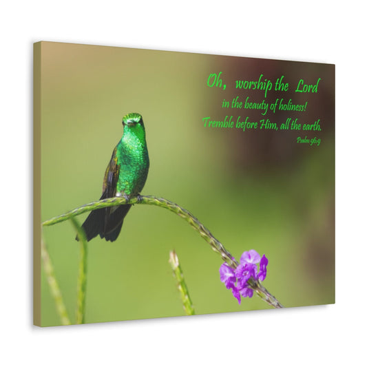 Scripture Walls Worship The Lord Psalm 96:9 Bible Verse Canvas Christian Wall Art Ready to Hang Unframed-Express Your Love Gifts