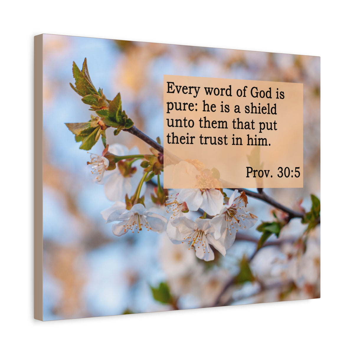 Scripture Canvas He Is A Shield Proverbs 30:5 Christian Wall Art Bible Verse Print Ready to Hang
