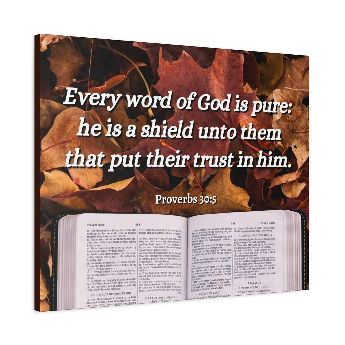 Scripture Canvas A Shield Proverbs 30:5 Christian Wall Art Bible Verse Print Ready to Hang