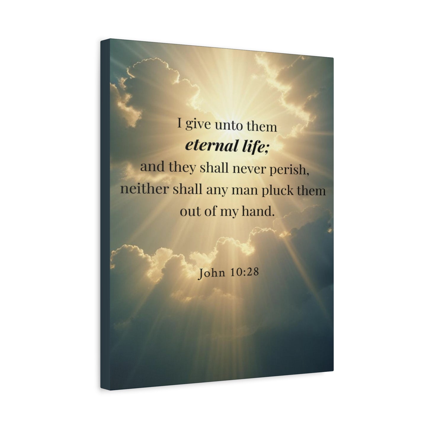 Scripture Walls John 10:28 Eternal Assurance Bible Verse Canvas Christian Wall Art Ready to Hang Unframed