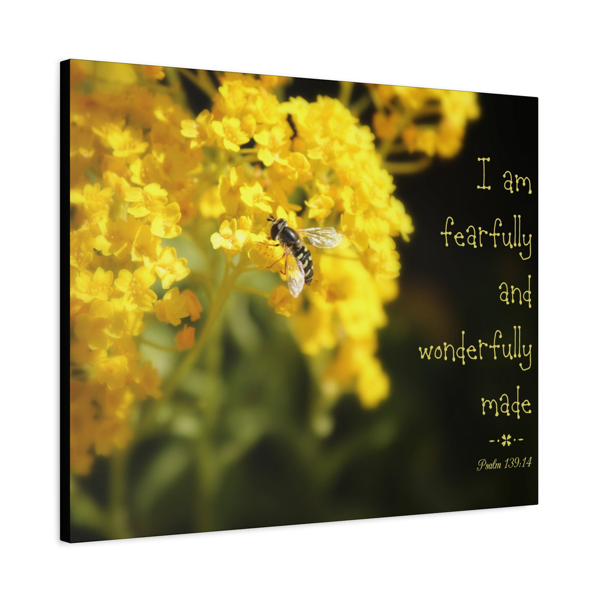 Scripture Walls Wonderfully Made Psalm 139:14 Bee Bible Verse Canvas Christian Wall Art Ready to Hang