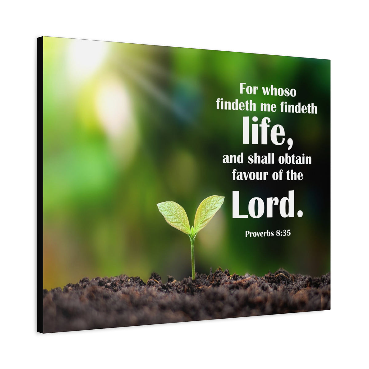 Scripture Canvas Favour of The Lord Proverbs 8:35 Christian Wall Art Bible Verse Print Ready to Hang