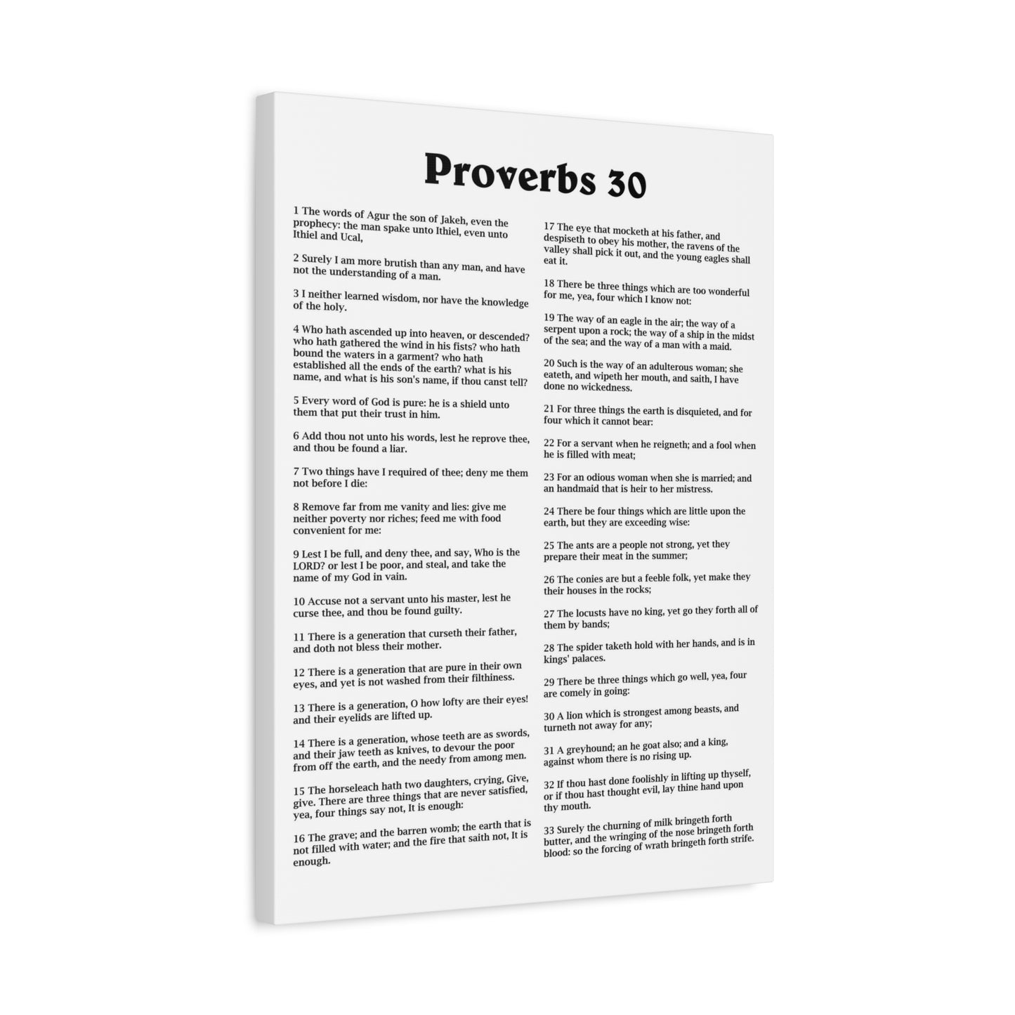 Scripture Walls Proverbs Chapter 30 White Bible Canvas Christian Wall Art Ready to Hang Unframed