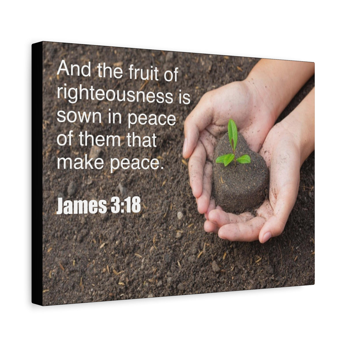 Scripture Canvas Fruit of Righteousness James 3:18 Christian Wall Art Bible Verse Print Ready to Hang