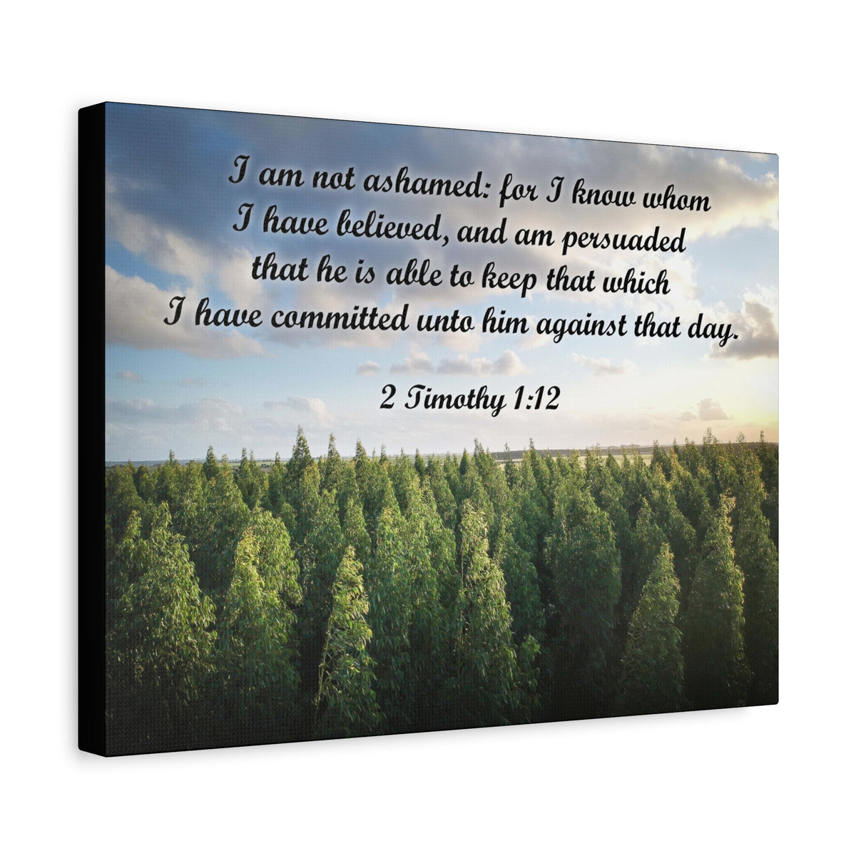 Scripture Canvas Not Ashamed 2 Timothy 1:12 Christian Wall Art Bible Verse Print Ready to Hang
