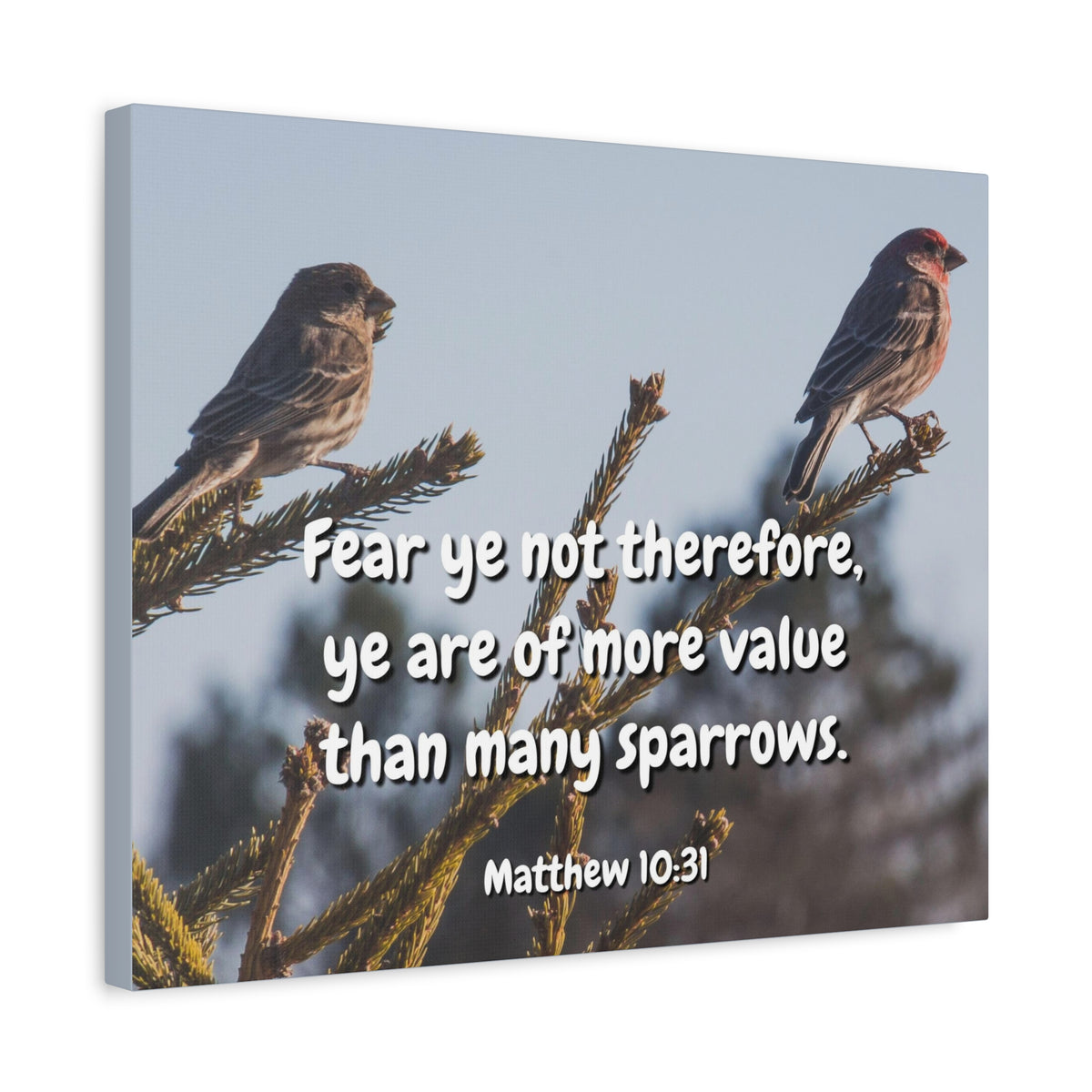 Scripture Canvas More Value Matthew 10:31 Christian Wall Art Bible Verse Print Ready to Hang