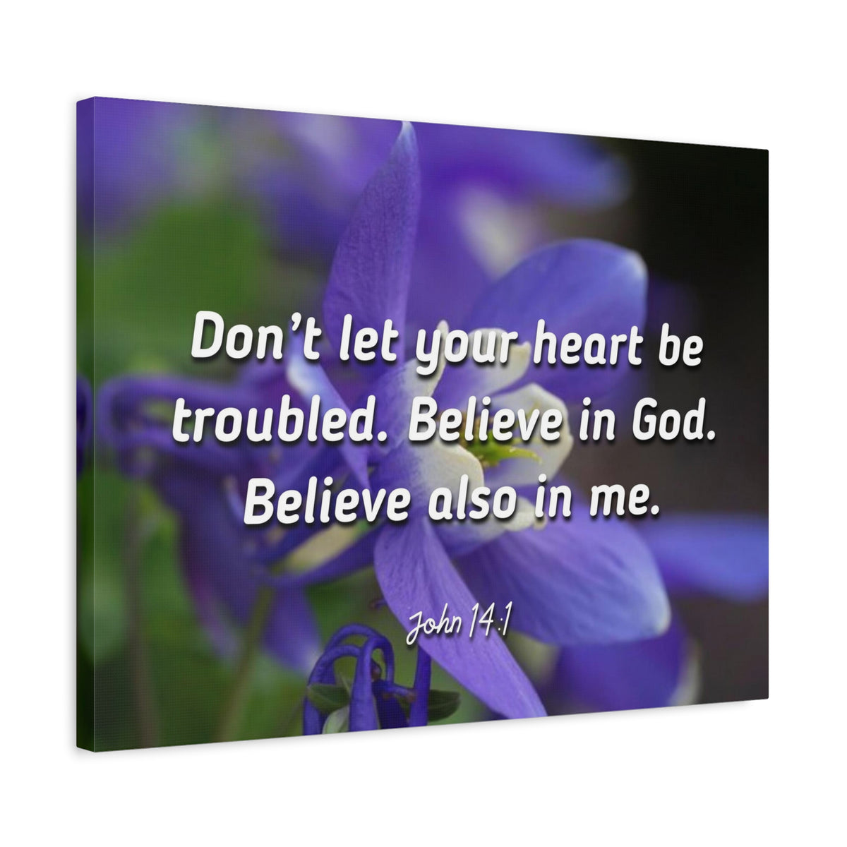 Scripture Canvas Believe In God, Believe Also In Me John 14:1 Christian Wall Art Bible Verse Print Ready to Hang