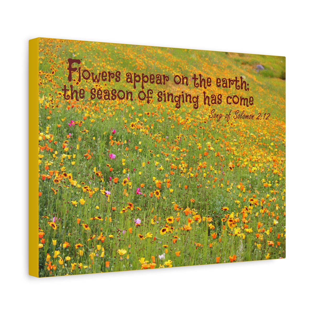 Scripture Canvas Season Of Singing Song Of Solomon 2:12 Christian Wall Art Bible Verse Print Ready to Hang
