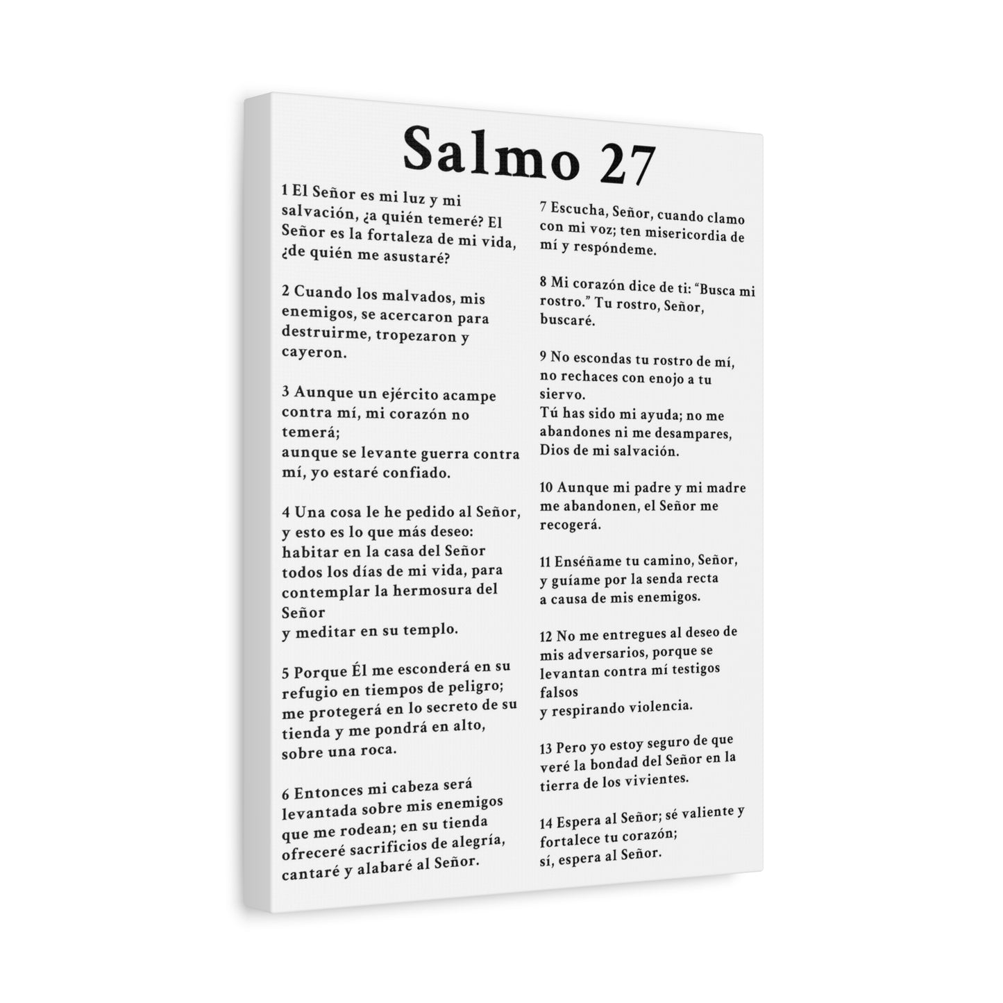 Scripture Walls Salmo 27 Chapter White Bible Canvas Christian Wall Art Ready to Hang Unframed