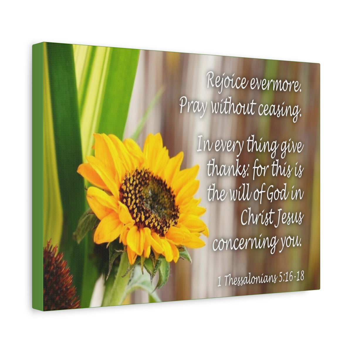 Scripture Canvas Rejoice Evermore 1 Thessalonians 5:16-18 Christian Wall Art Bible Verse Print Ready to Hang