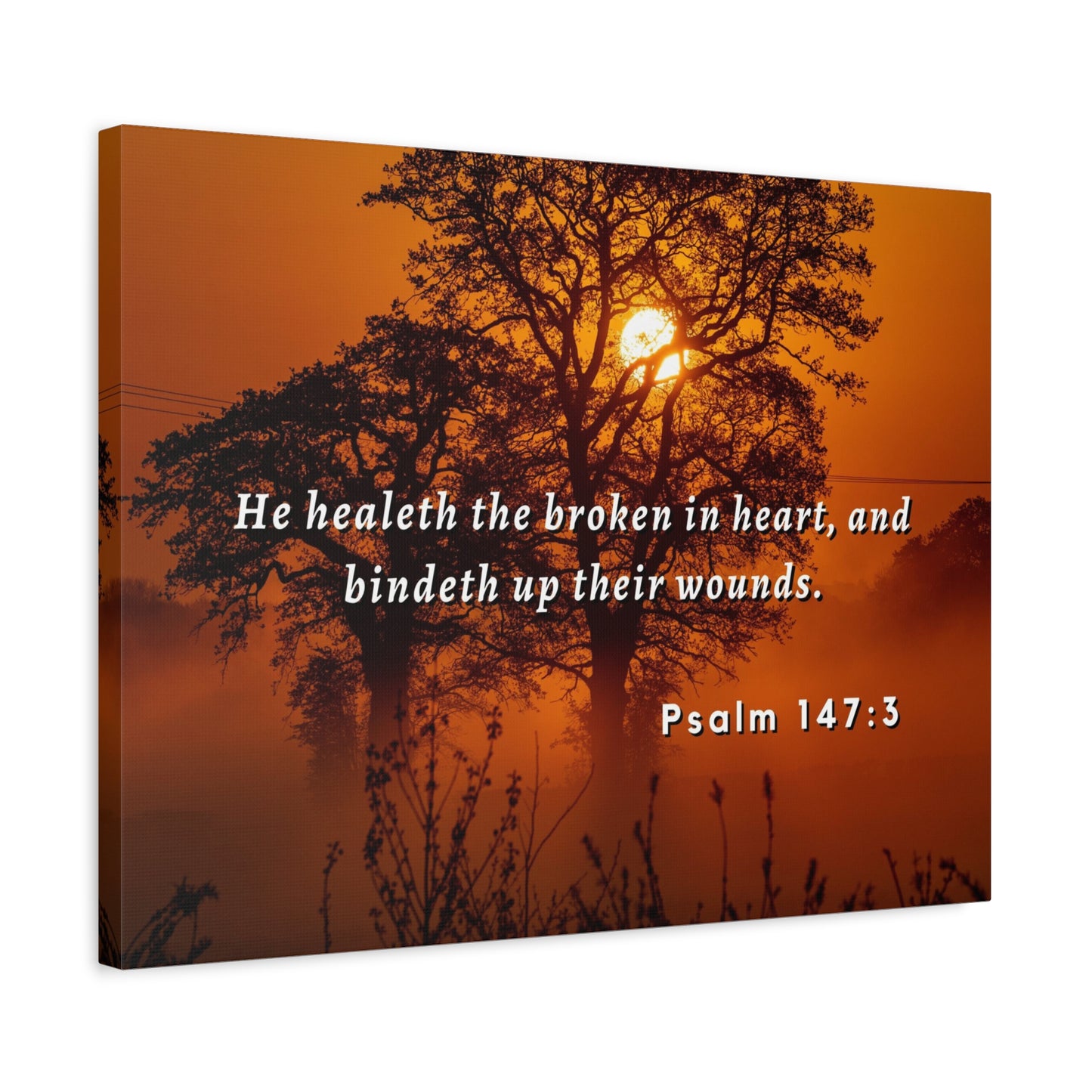Scripture Walls He Healeth Psalm 147:3 Bible Verse Canvas Christian Wall Art Ready to Hang