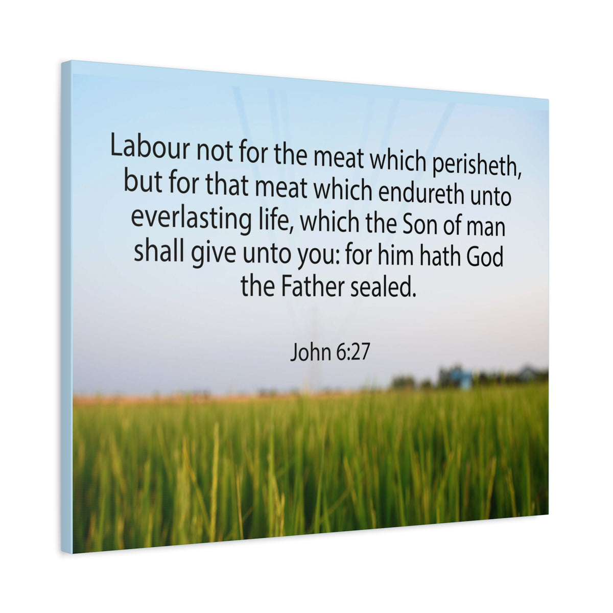 Scripture Canvas Labour Not For The Meat John 6:27 Christian Wall Art Bible Verse Print Ready to Hang
