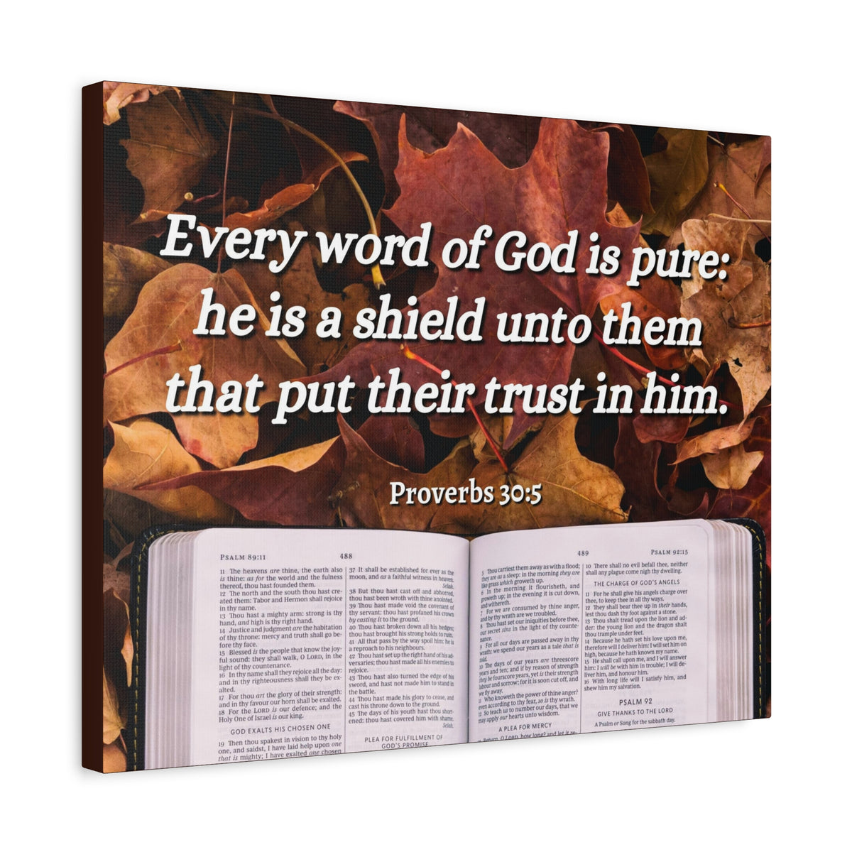 Scripture Canvas A Shield Proverbs 30:5 Christian Wall Art Bible Verse Print Ready to Hang