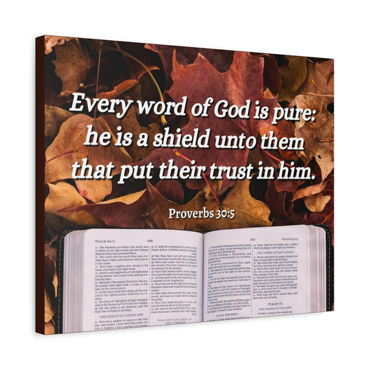 Scripture Canvas A Shield Proverbs 30:5 Christian Wall Art Bible Verse Print Ready to Hang