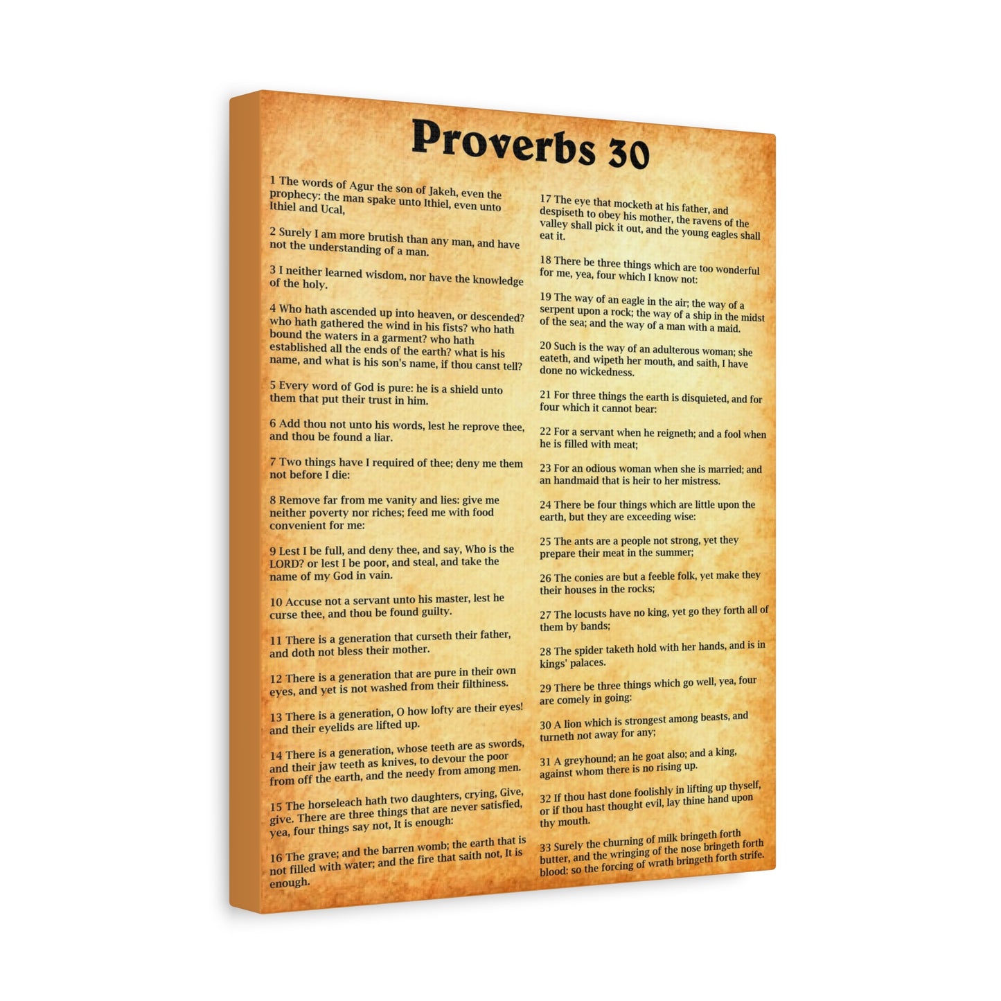 Scripture Walls Proverbs Chapter 30 Gold Bible Canvas Christian Wall Art Ready to Hang Unframed