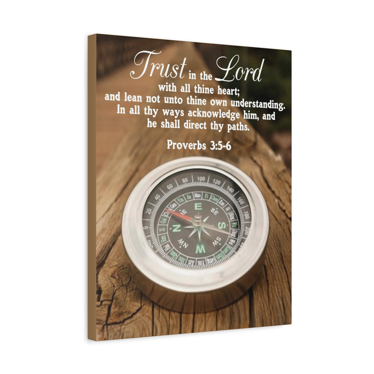 Scripture Canvas Direct Thy Paths Proverbs 3:5-6 Christian Wall Art Bible Verse Print Ready to Hang