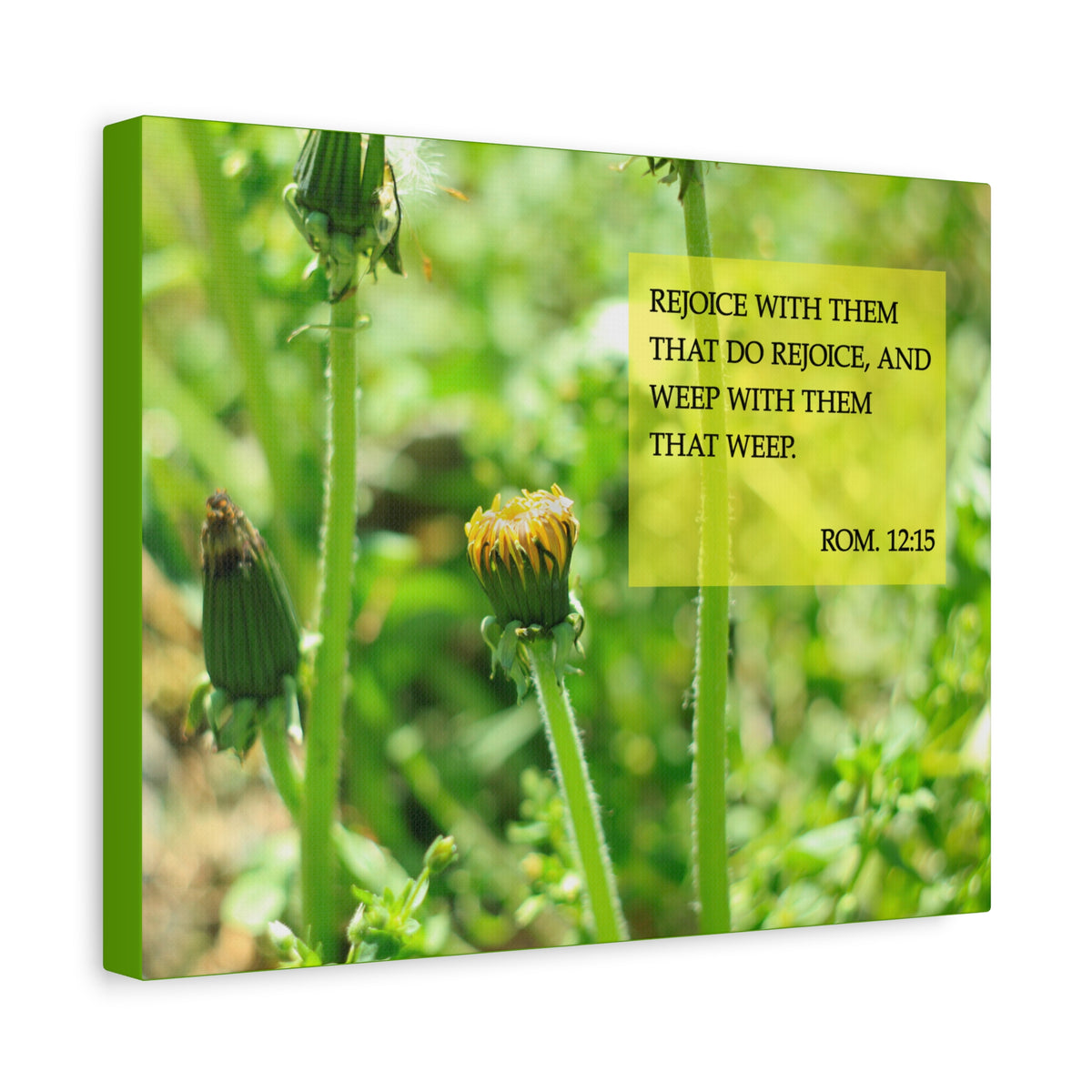 Scripture Canvas Rejoice With Them Rom 12:15 Christian Wall Art Bible Verse Print Ready to Hang
