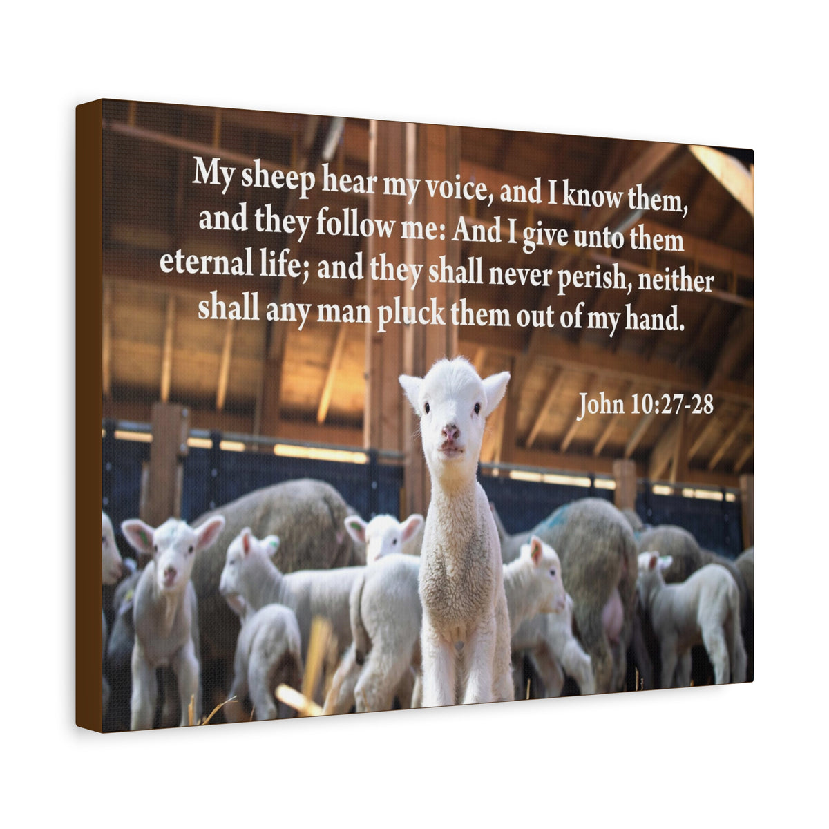Scripture Canvas My Sheep Hear My Voice John 10:27-28 Christian Wall Art Bible Verse Print Ready to Hang