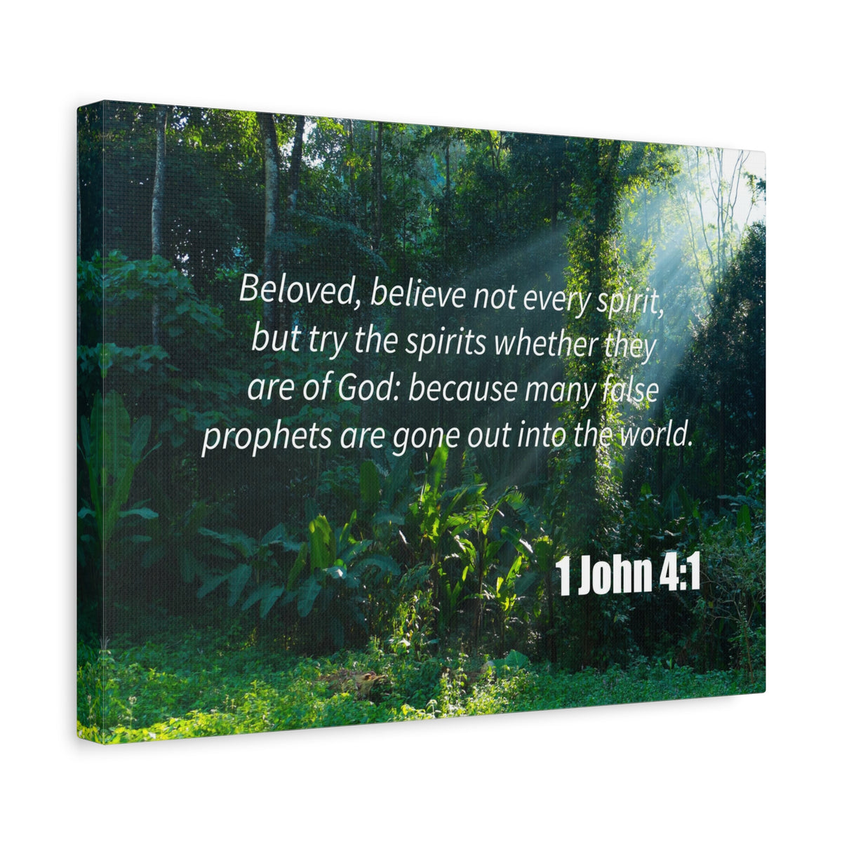 Scripture Canvas False Prophets 1 John 4:1 Christian Wall Art Bible Verse Print Ready to Hang