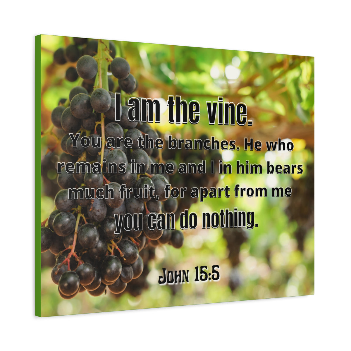 Scripture Canvas I Am The Vine John 15:5 Christian Wall Art Bible Verse Print Ready to Hang