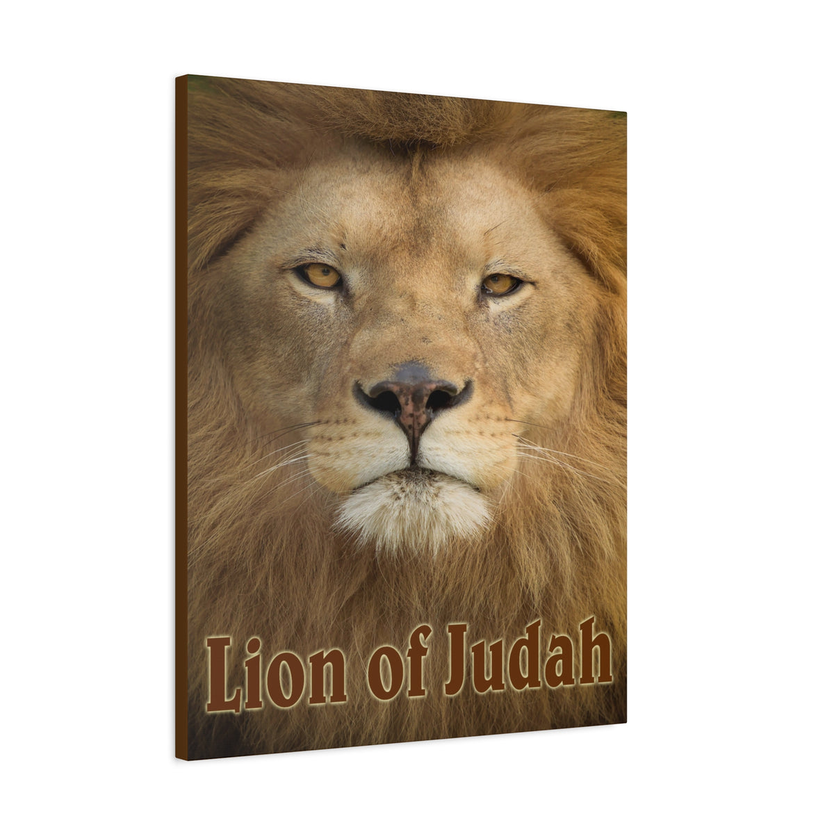 Scripture Canvas Lion of Judah Christian Wall Art Bible Verse Print Ready to Hang