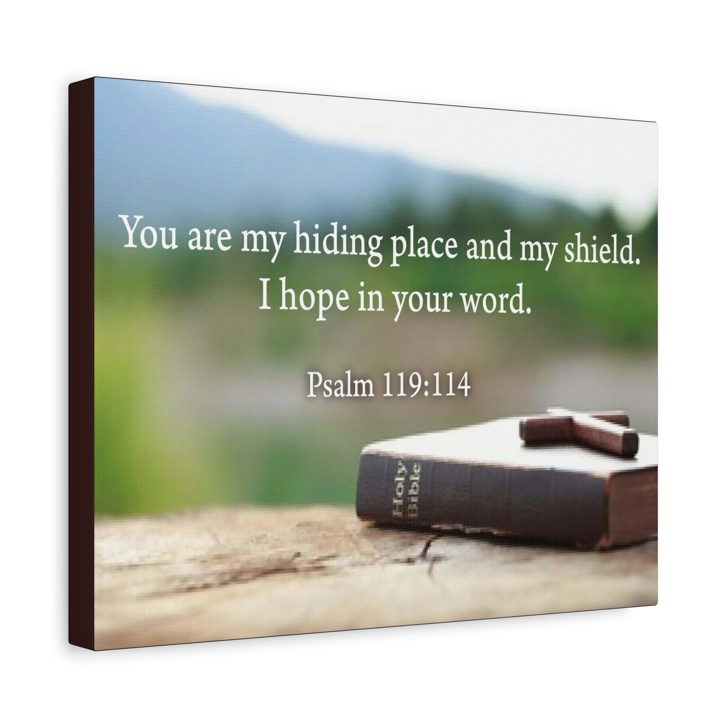 Scripture Walls Hiding Place Psalm 119:114 Bible Verse Canvas Christian Wall Art Ready to Hang