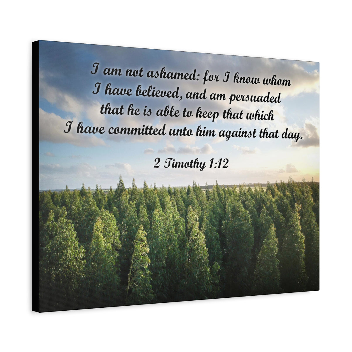 Scripture Canvas Not Ashamed 2 Timothy 1:12 Christian Wall Art Bible Verse Print Ready to Hang