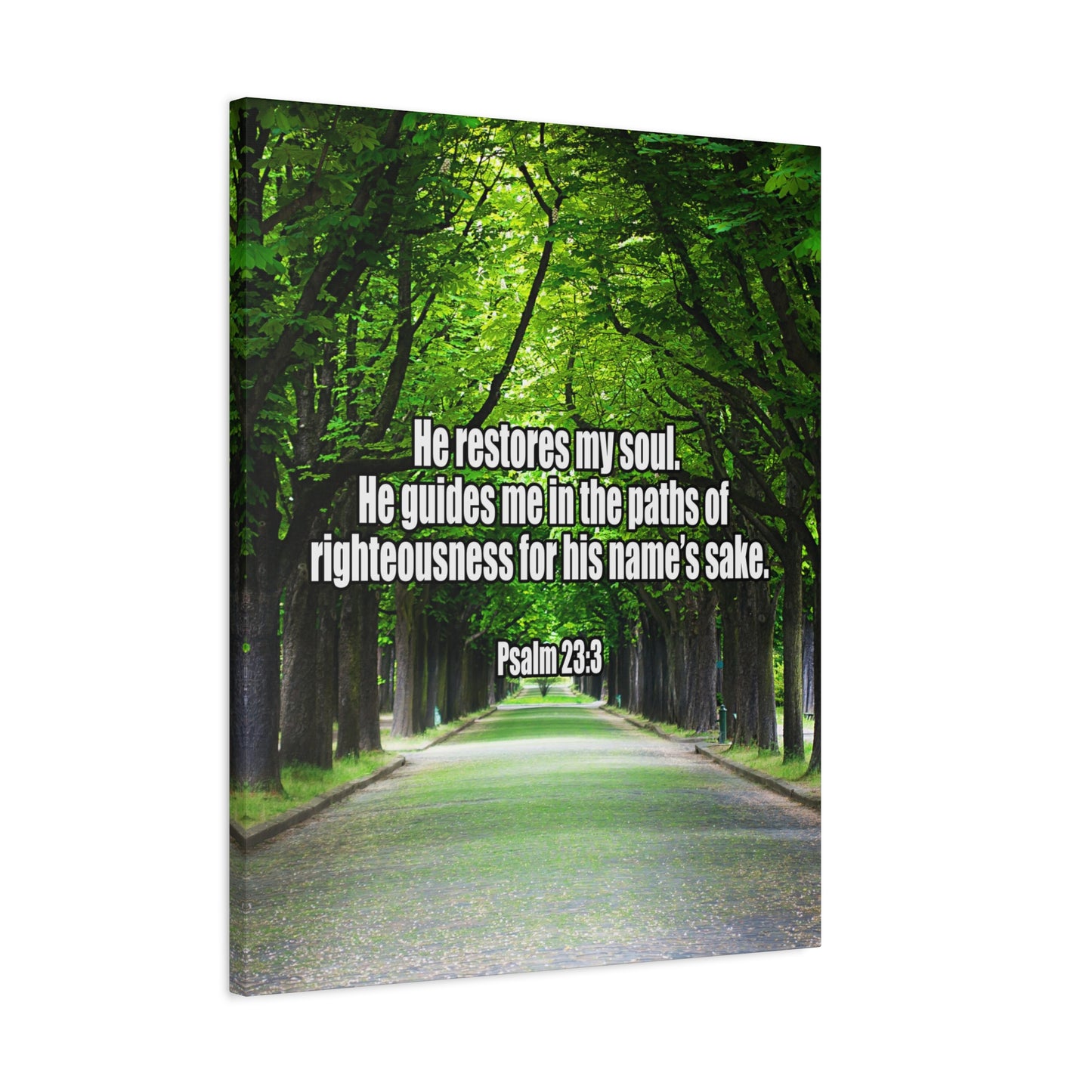 Bible Verse Canvas You Restore My Soul Psalm 23:3 Wall Art Christian Home Decor