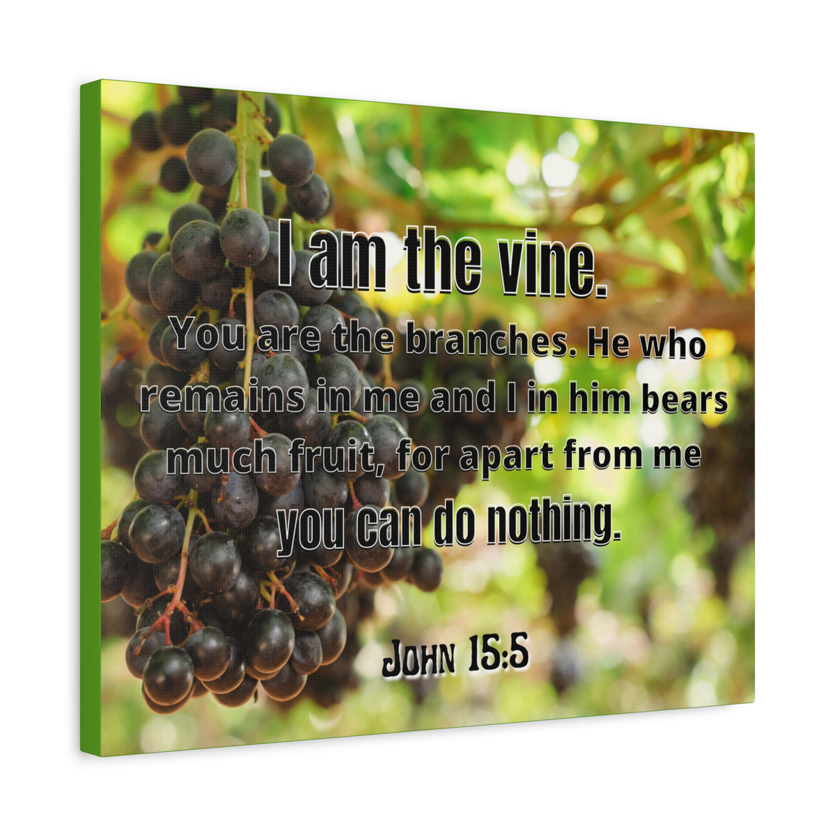 Scripture Canvas I Am The Vine John 15:5 Christian Wall Art Bible Verse Print Ready to Hang