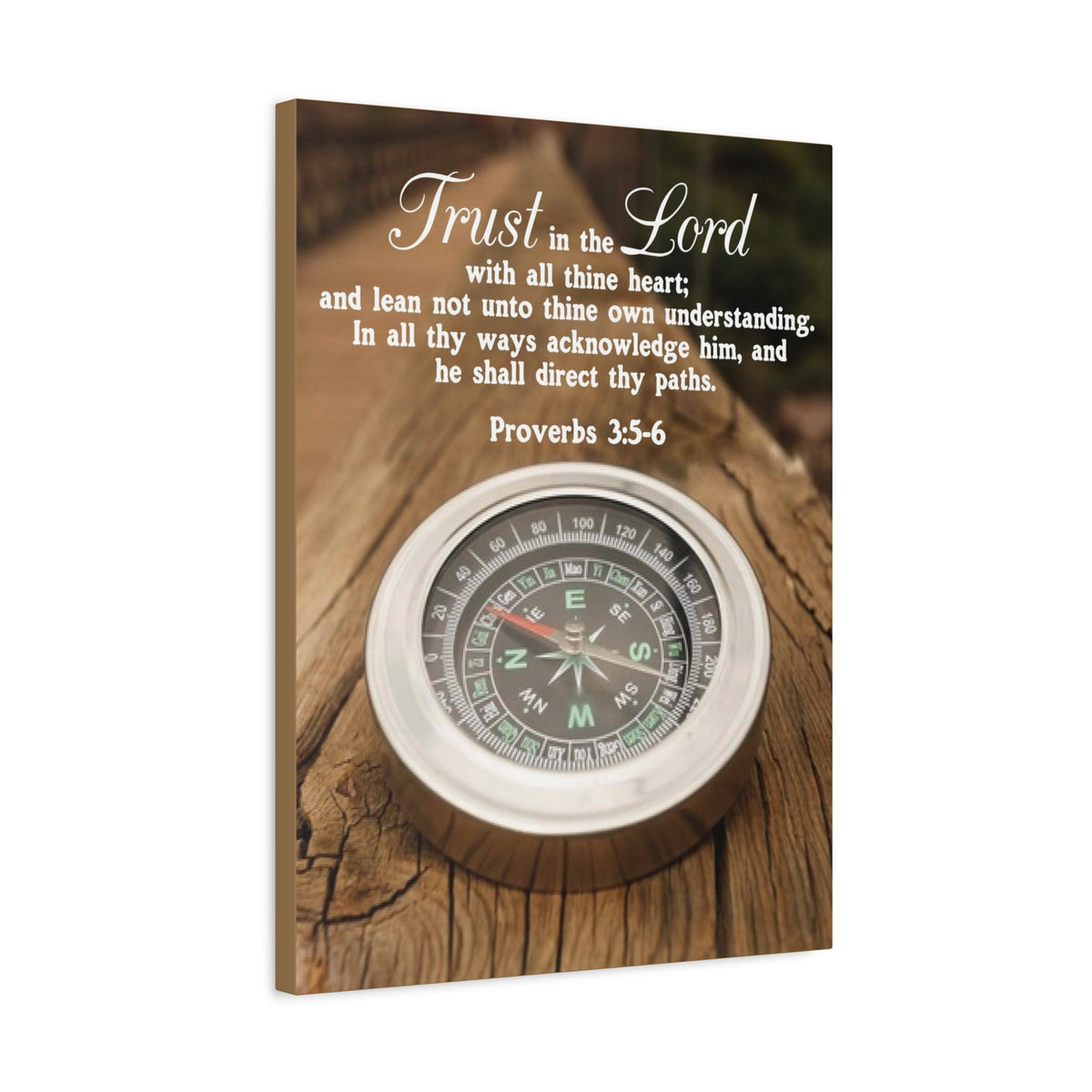 Scripture Canvas Direct Thy Paths Proverbs 3:5-6 Christian Wall Art Bible Verse Print Ready to Hang