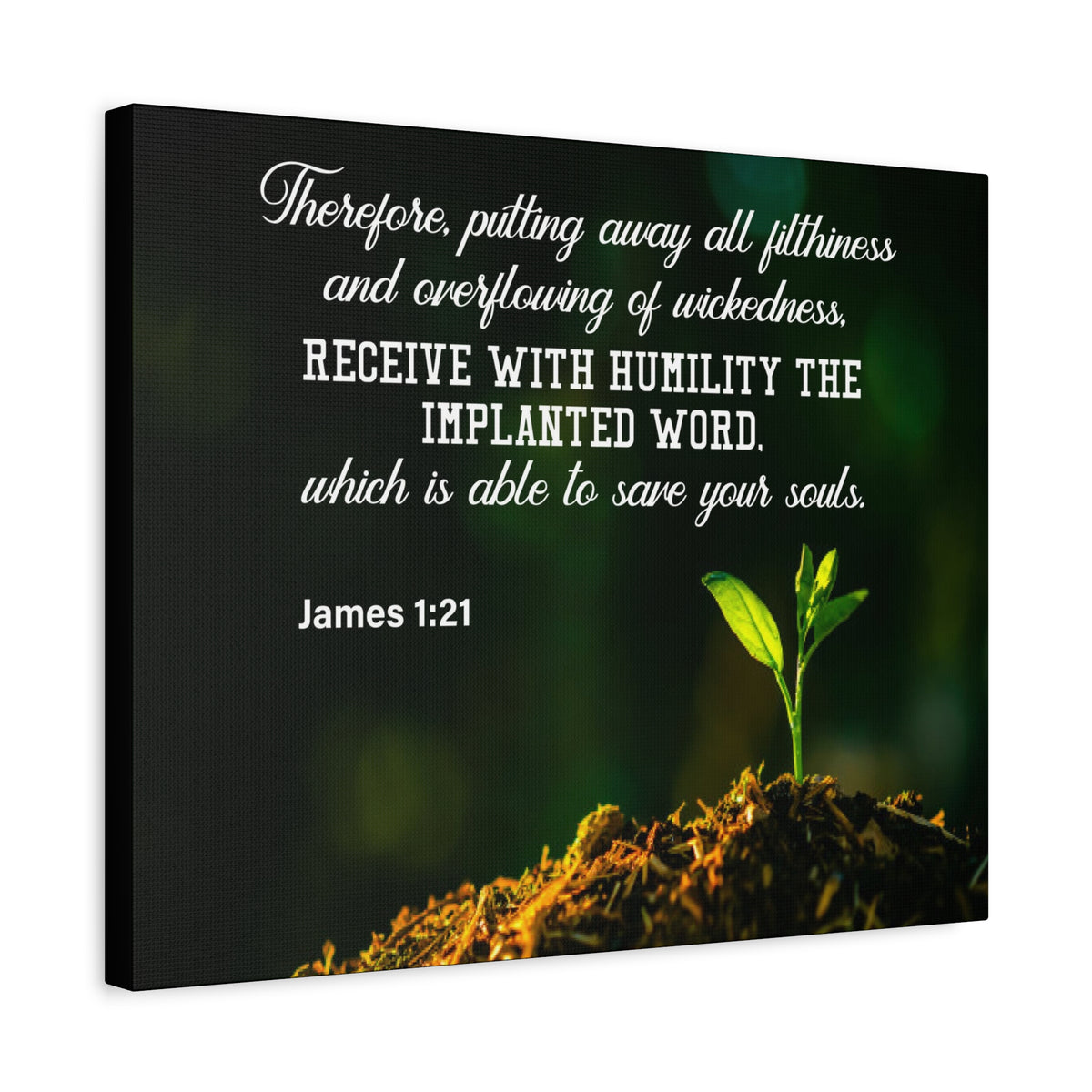 Scripture Canvas Implanted Word James 1:21 Christian Wall Art Bible Verse Print Ready to Hang