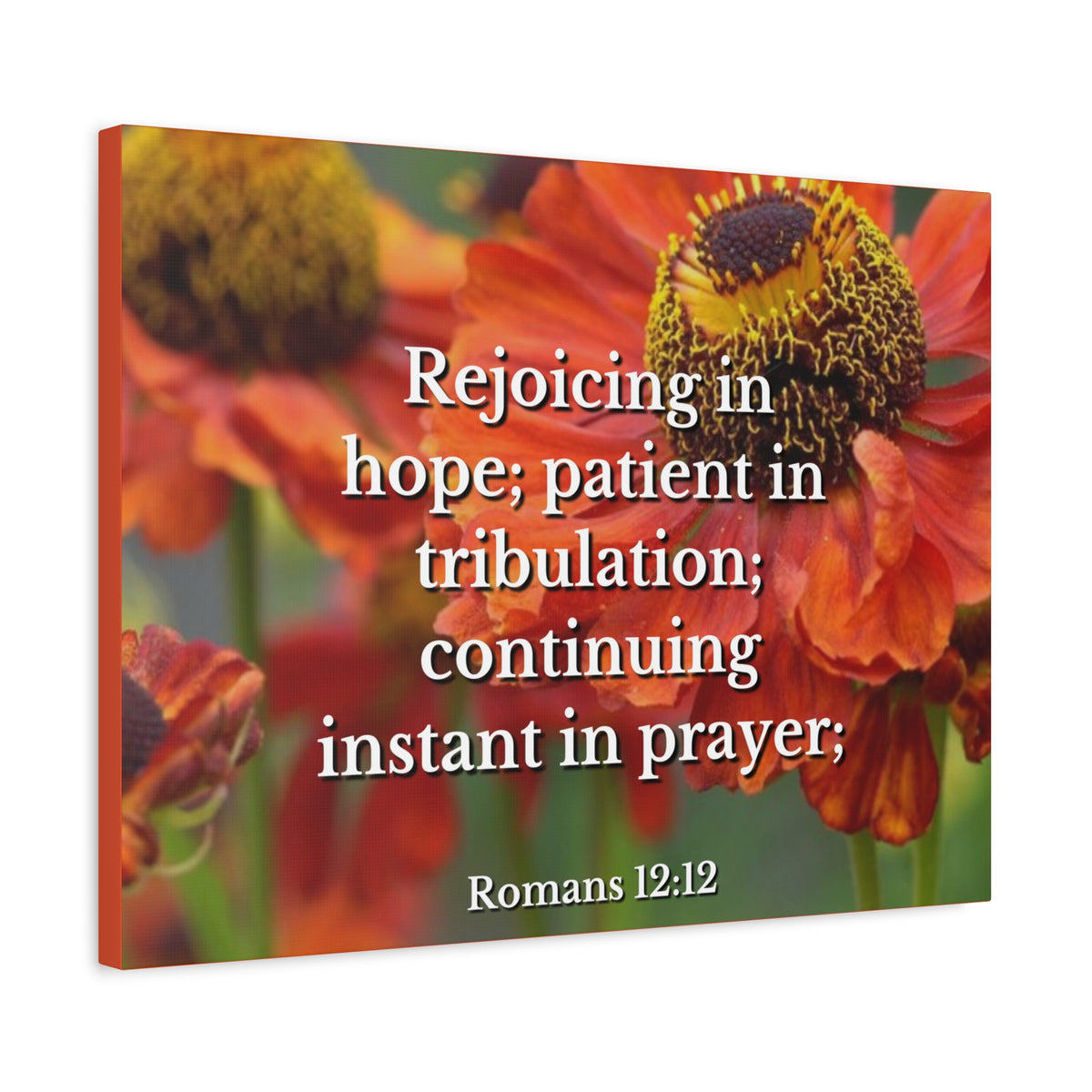Scripture Canvas Rejoicing In Hope Romans 12:12 Christian Wall Art Bible Verse Print Ready to Hang