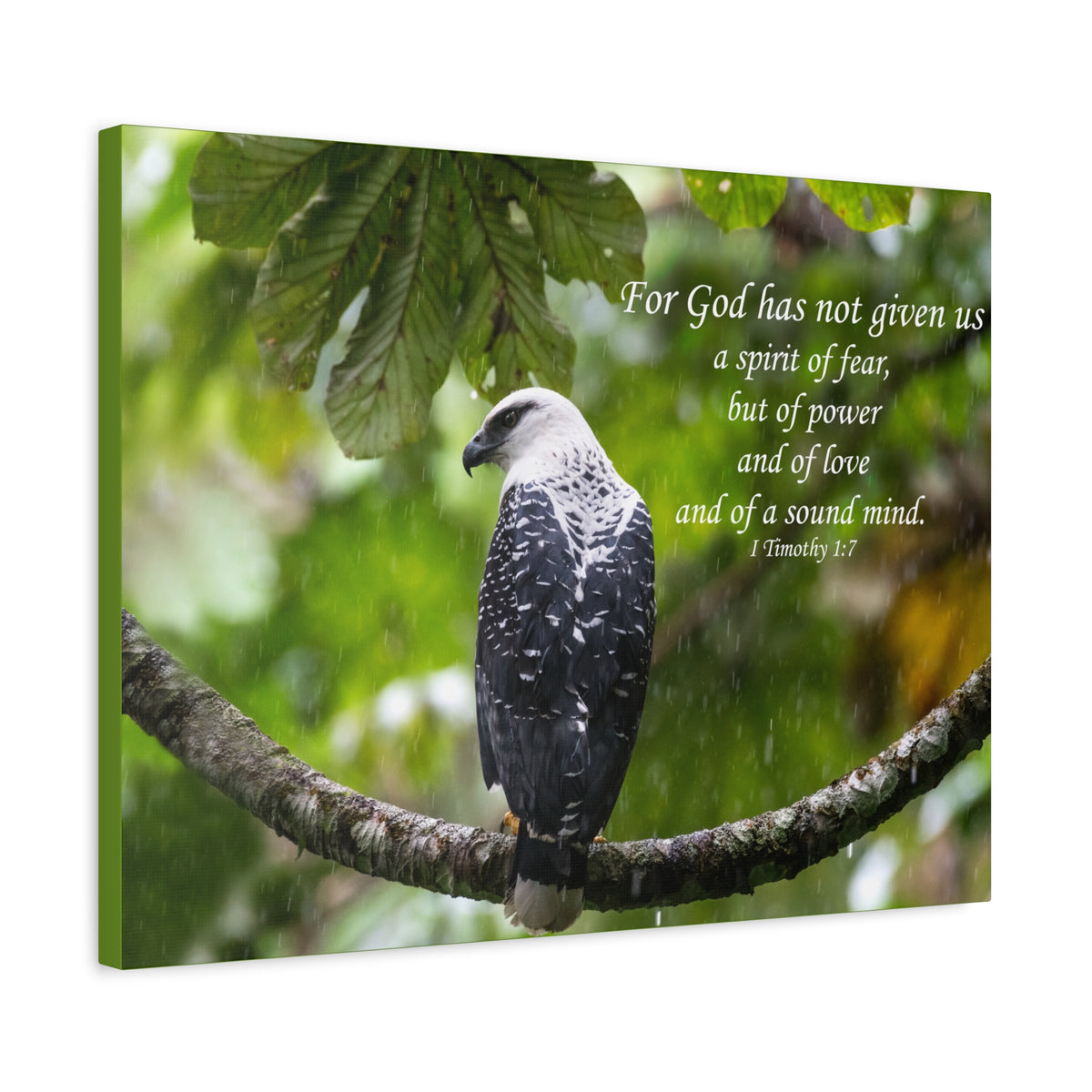 Scripture Canvas A Sound Mind 1 Timothy 1:7 Christian Wall Art Bible Verse Print Ready to Hang