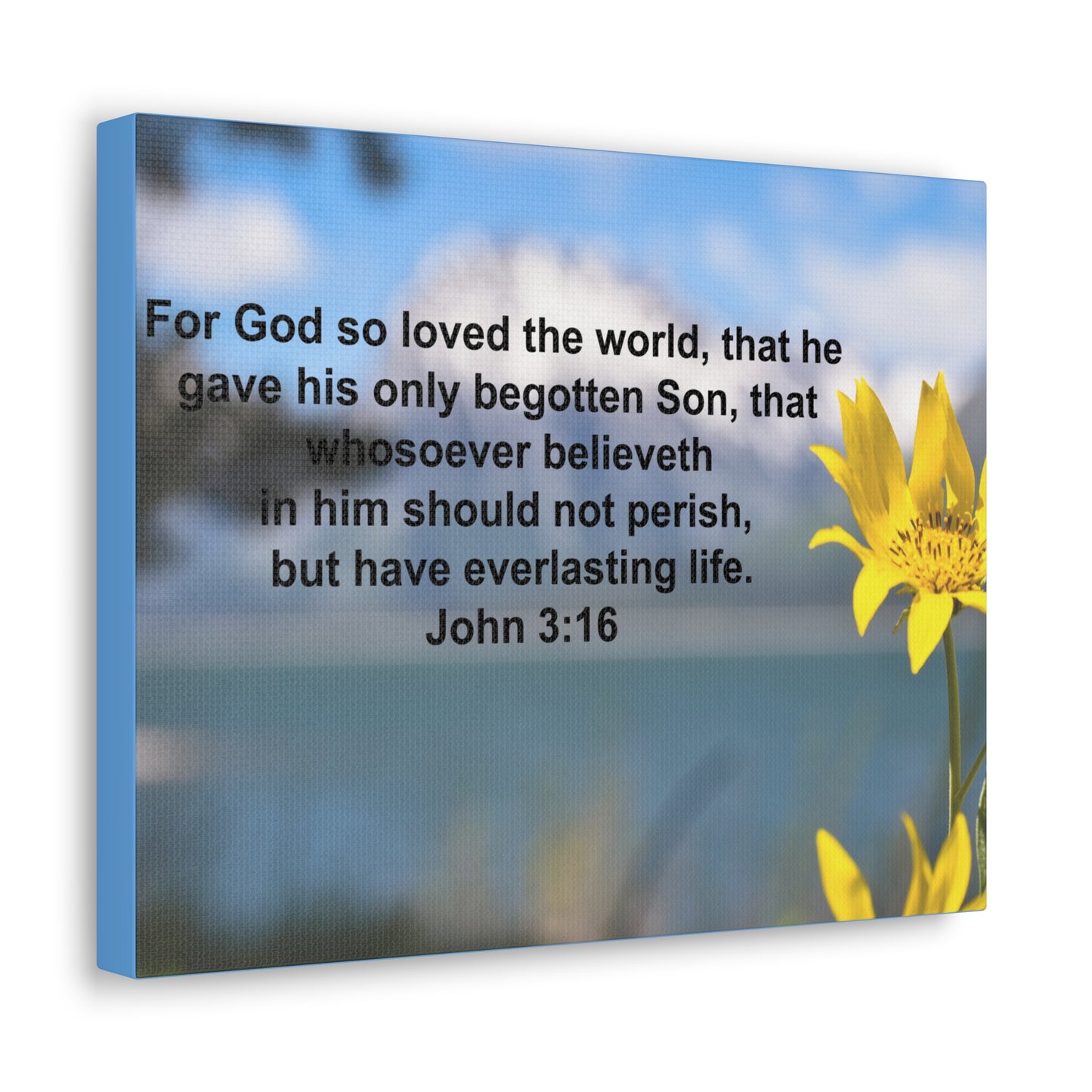 Have Everlasting Life John 3:16 Bible Verse Canvas Christian Wall Art Ready to Hang