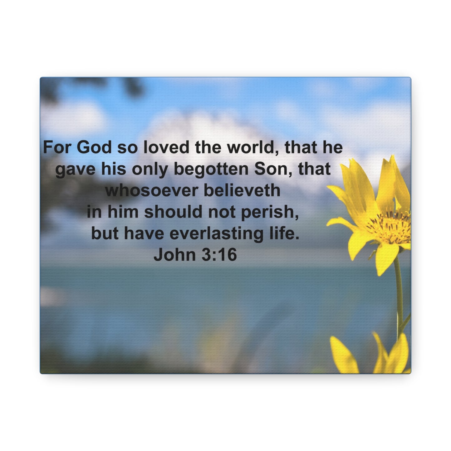 Have Everlasting Life John 3:16 Bible Verse Canvas Christian Wall Art Ready to Hang
