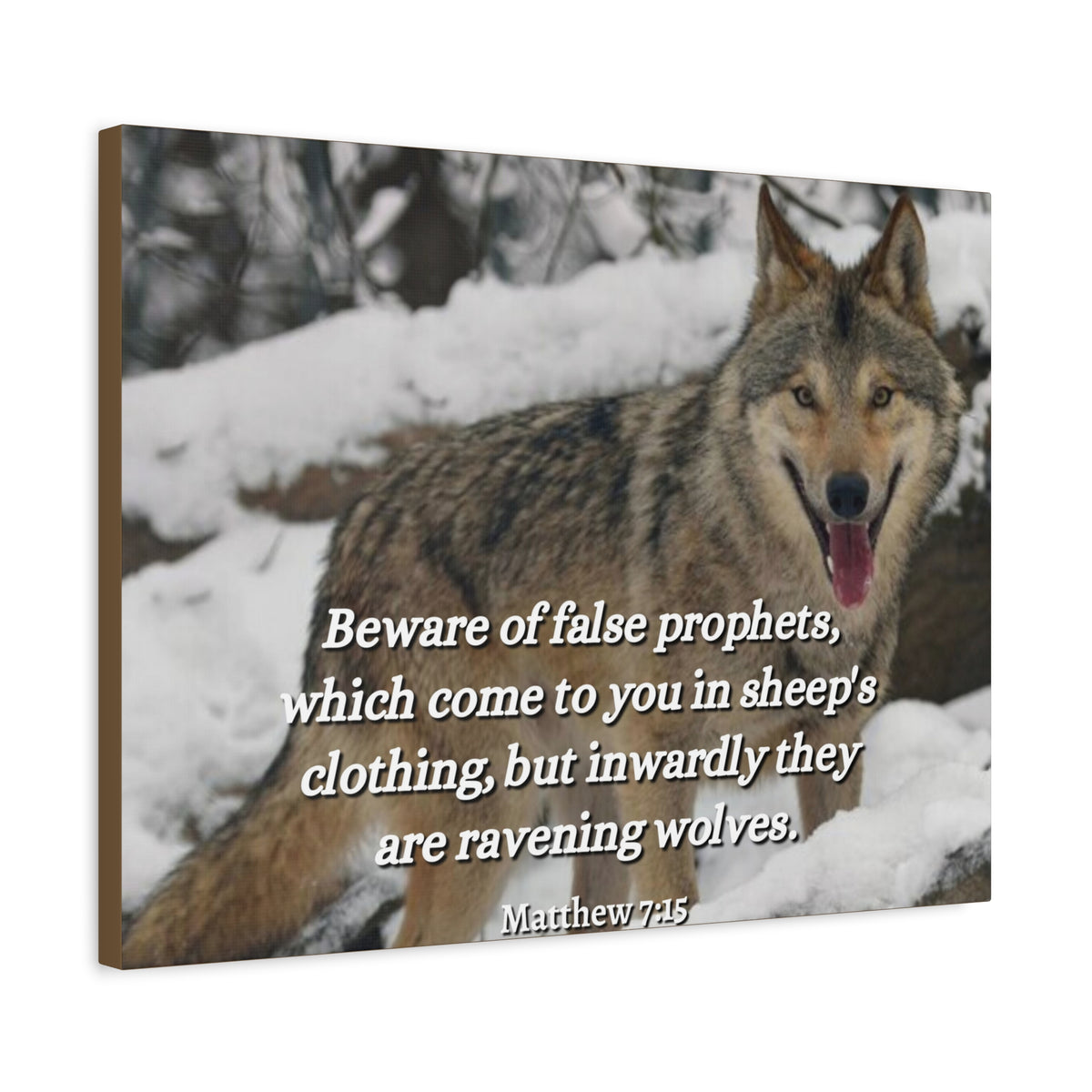 Scripture Canvas False Prophets Matthew 7:15 Christian Wall Art Bible Verse Print Ready to Hang