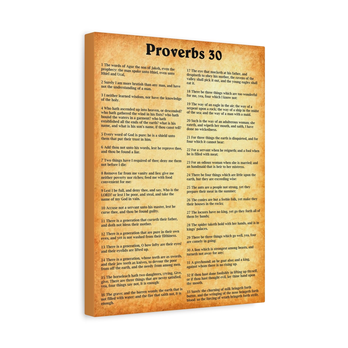 Scripture Walls Proverbs Chapter 30 Gold Bible Canvas Christian Wall Art Ready to Hang Unframed