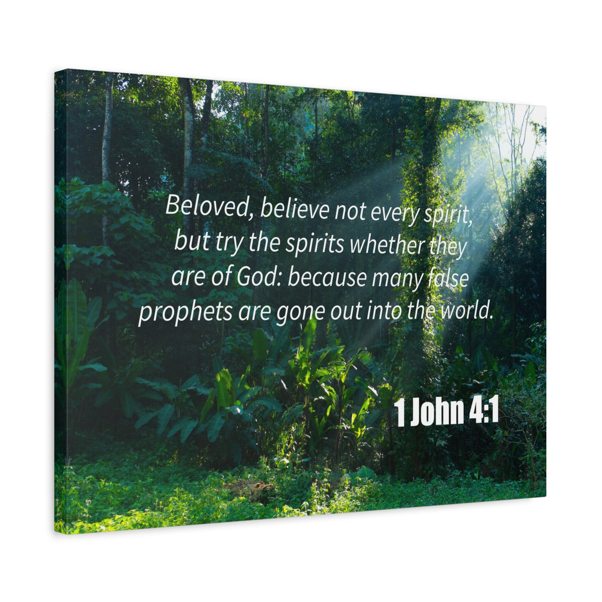 Scripture Canvas False Prophets 1 John 4:1 Christian Wall Art Bible Verse Print Ready to Hang