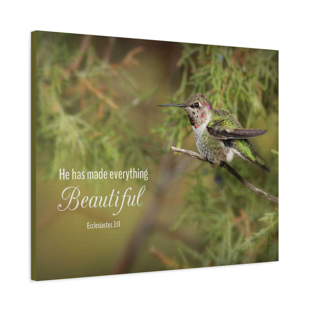 Scripture Canvas Everything Beautiful Ecclesiastes 3:11 Christian Wall Art Bible Verse Print Ready to Hang