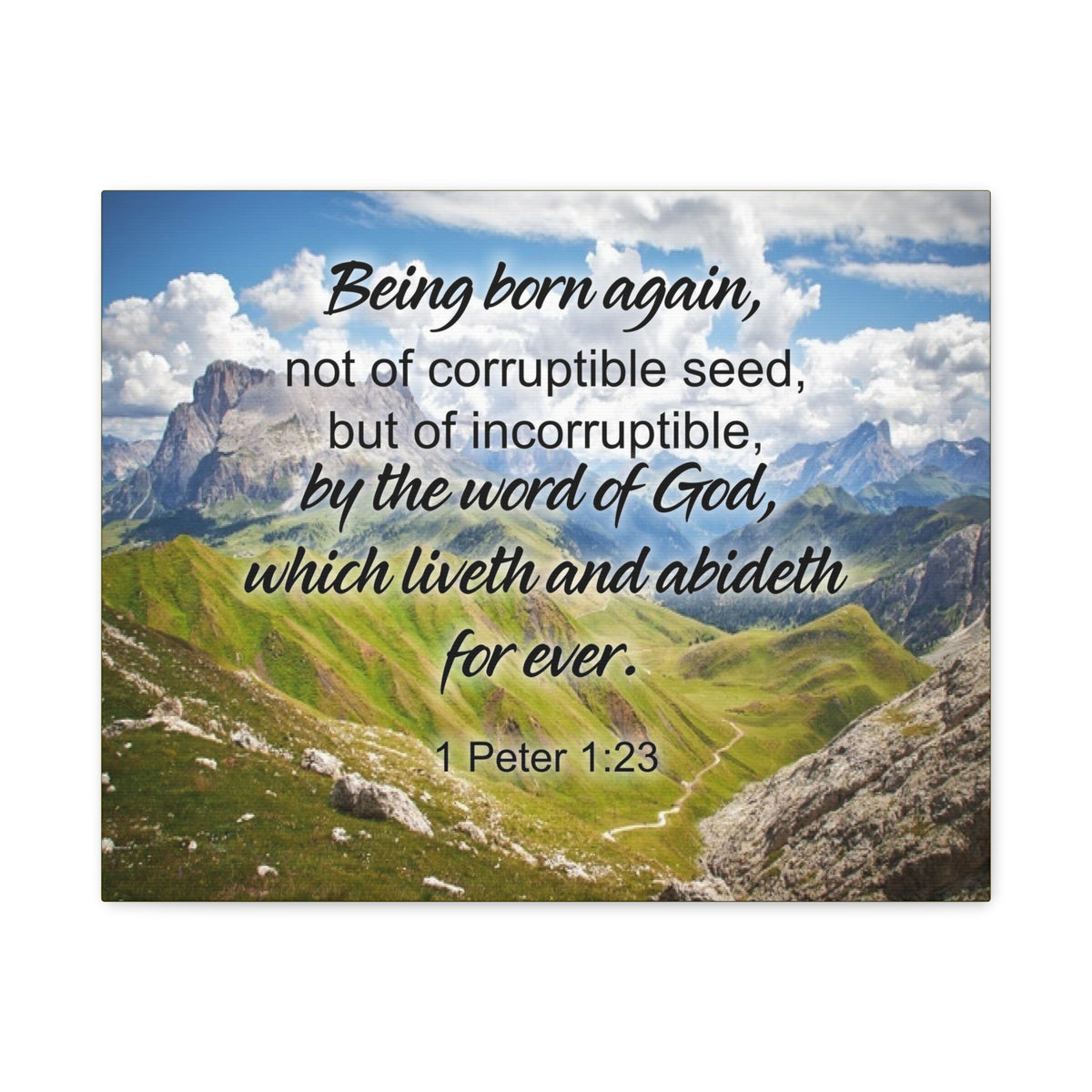 Scripture Canvas Being Born Again 1 Peter 1:23 Christian Wall Art Bible Verse Print Ready to Hang