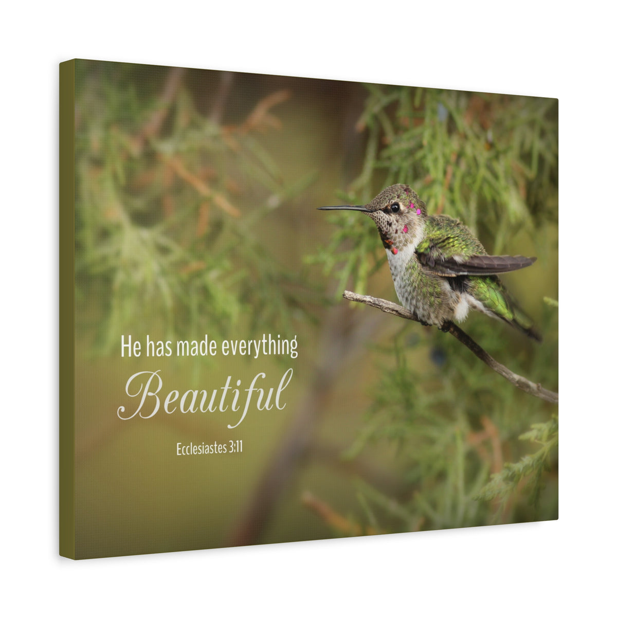 Scripture Canvas Everything Beautiful Ecclesiastes 3:11 Christian Wall Art Bible Verse Print Ready to Hang