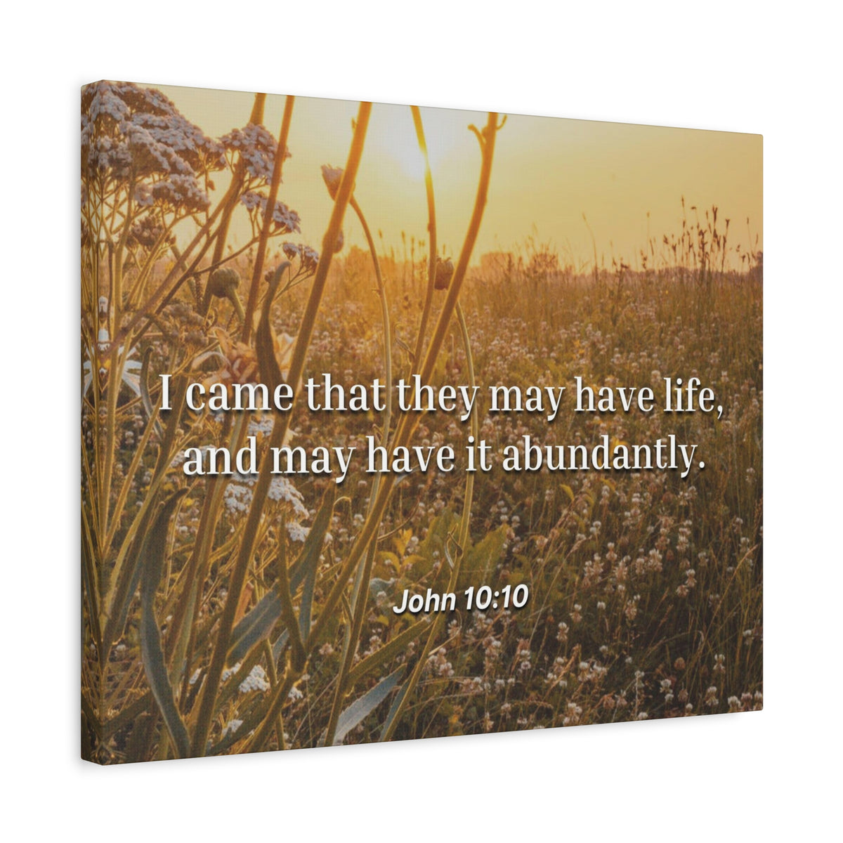 Scripture Canvas Abundantly John 10:10 Christian Wall Art Bible Verse Print Ready to Hang
