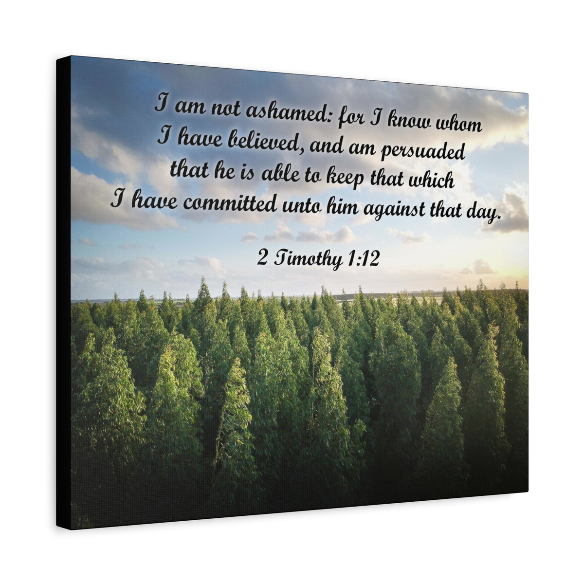 Scripture Canvas Not Ashamed 2 Timothy 1:12 Christian Wall Art Bible Verse Print Ready to Hang