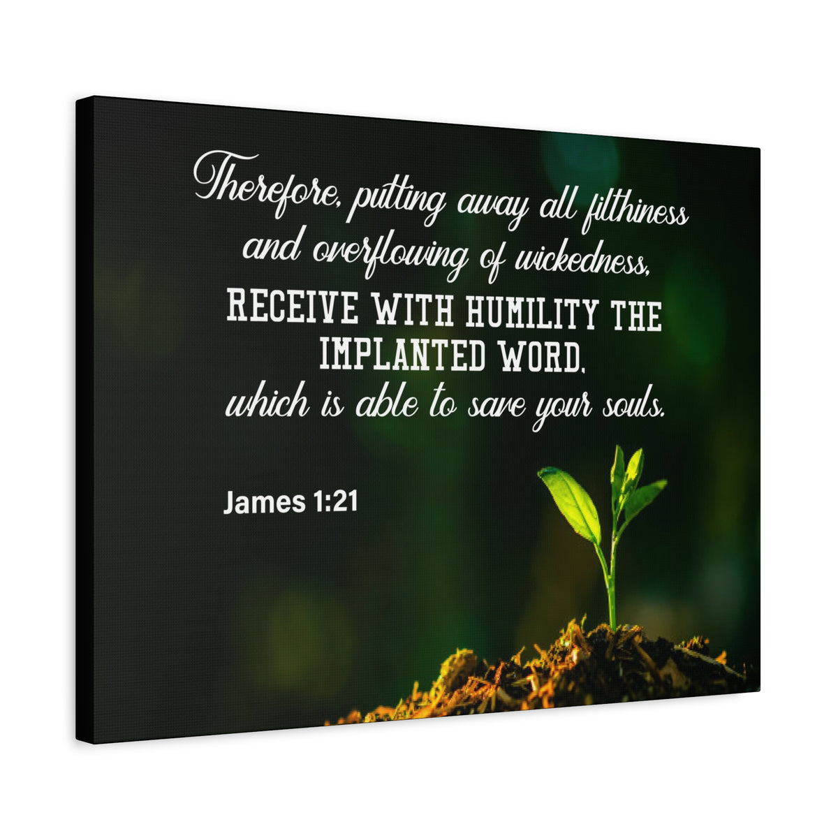 Scripture Canvas Implanted Word James 1:21 Christian Wall Art Bible Verse Print Ready to Hang