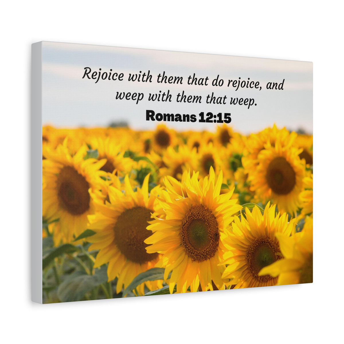 Scripture Canvas Rejoice With Them Romans 12:15 Sunflower Christian Wall Art Bible Verse Print Ready to Hang
