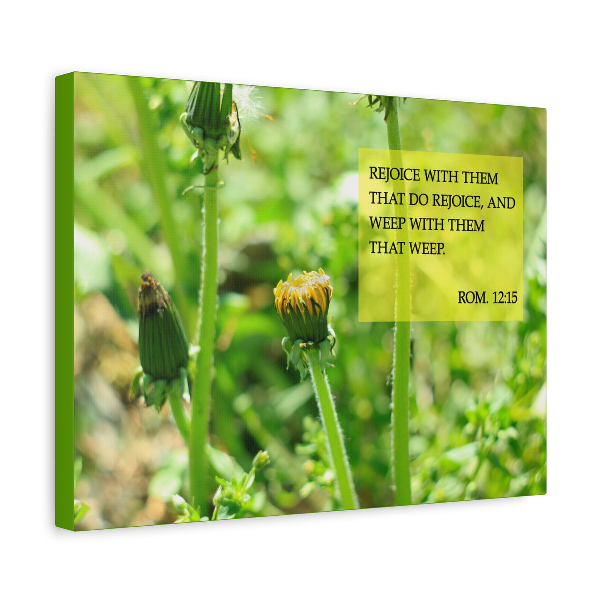Scripture Canvas Rejoice With Them Rom 12:15 Christian Wall Art Bible Verse Print Ready to Hang