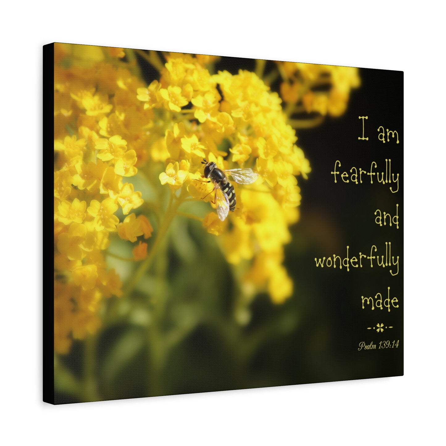Scripture Walls Wonderfully Made Psalm 139:14 Bee Bible Verse Canvas Christian Wall Art Ready to Hang
