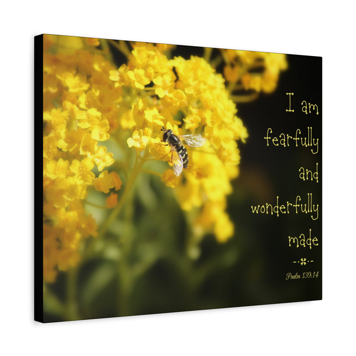 Scripture Walls Wonderfully Made Psalm 139:14 Bee Bible Verse Canvas Christian Wall Art Ready to Hang